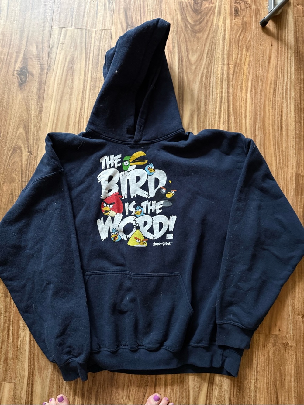 Angry Birds Navy Blue Graphic Hoodie - The Bird Is The Word